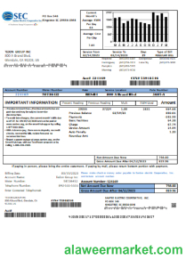 Santee Electric Cooperative Inc (SEC) proof of address utility business bill, SCR